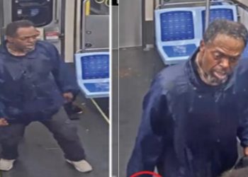 Chicago Police Search for Man Who Stabbed Woman on CTA Blue Line Train