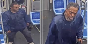 Chicago Police Search for Man Who Stabbed Woman on CTA Blue Line Train
