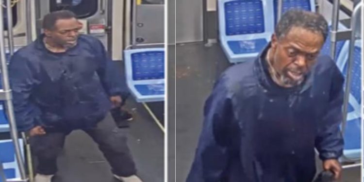 Chicago Police Search for Man Who Stabbed Woman on CTA Blue Line Train